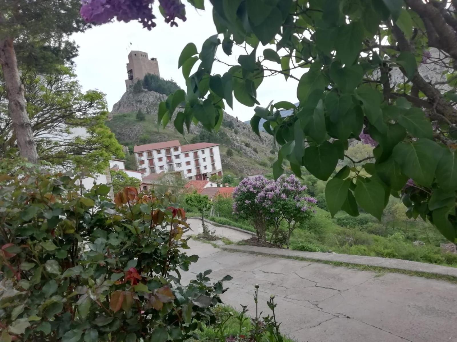 Casa Concha Lägenhet Alcalá de la Selva Exteriör bild